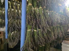 Load image into Gallery viewer, Dried Organic Lavender Bunch