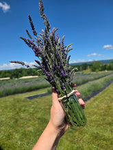 Load image into Gallery viewer, Organic Lavender Bunch