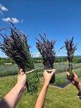 Load image into Gallery viewer, Organic Lavender Bunch