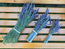 Load image into Gallery viewer, Organic Lavender Bunch